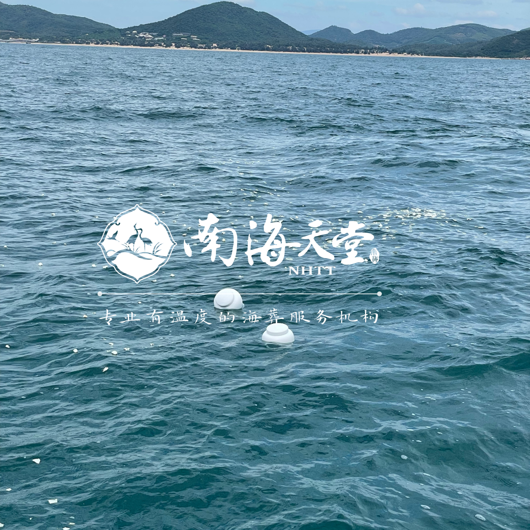 骨灰沉海