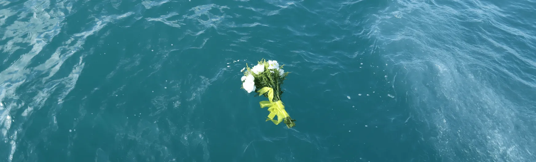 海葬资讯